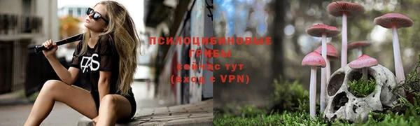 mdpv Осинники