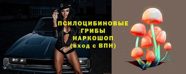 mdpv Осинники
