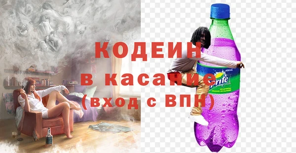 шишки Болохово