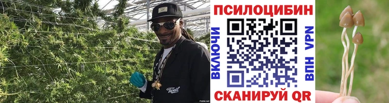 Галлюциногенные грибы мицелий Ртищево